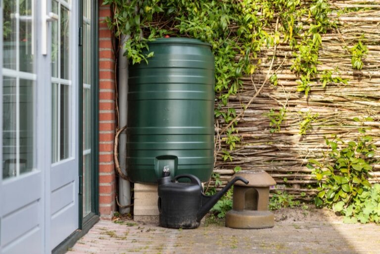 Harnessing Nature: Use Rain Barrels to Collect Water for Sustainable Gardening