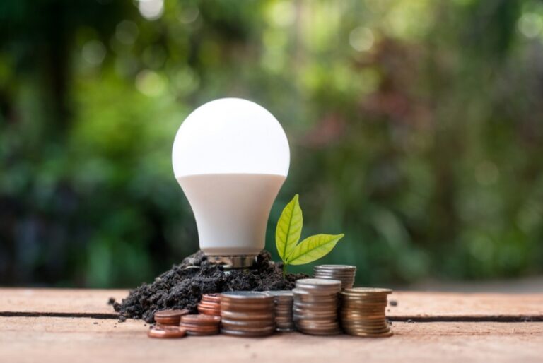 Living the Sustainable Lifestyle: How to Save on Your Electricity Bills