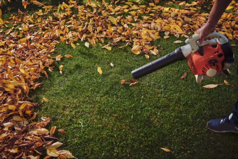 Clearing the Way: A Savvy Shopper’s Guide to Selecting a Durable and Efficient Leaf Blower