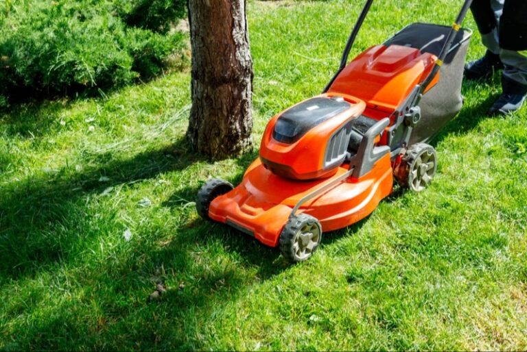 The Ultimate Consumer’s Guide to Buying a Lawn Mower