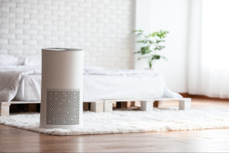 Unraveling the Air Maze: The Intelligent Buyer’s Guide to Air Purifiers